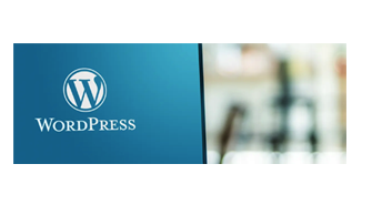 Wesbite Content Management Systems